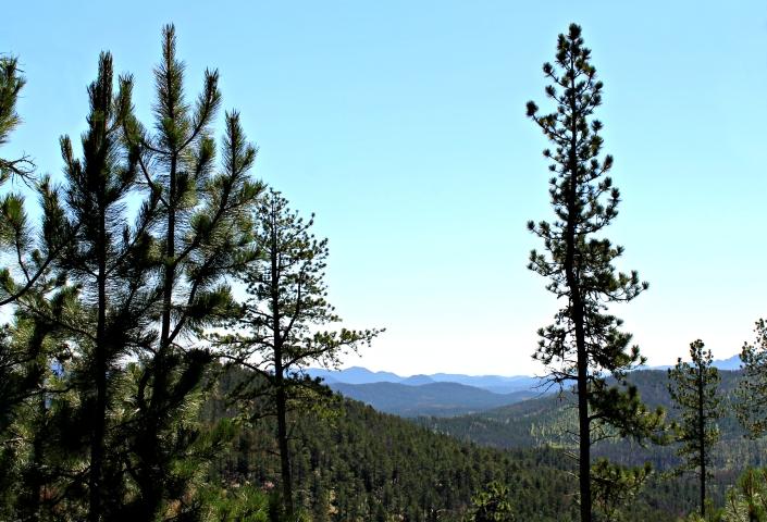 South Dakota scenery