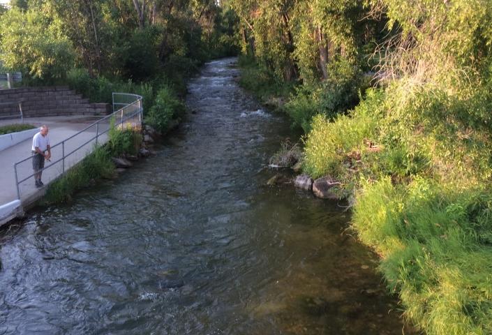 Spearfish