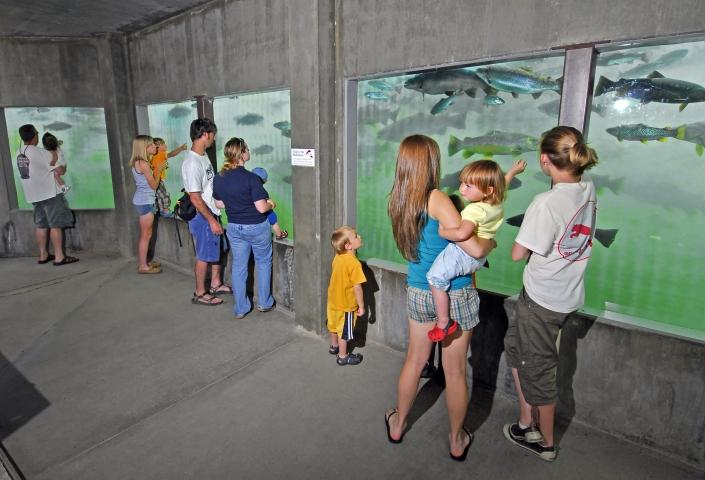 D.C. Booth Historic National Fish Hatchery