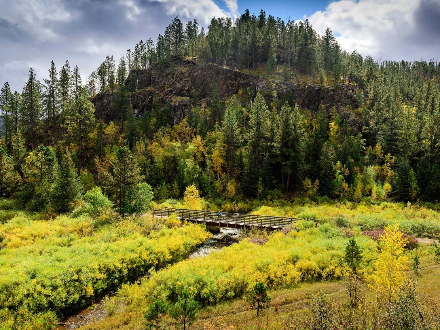 Mickelson Trail Black Hills