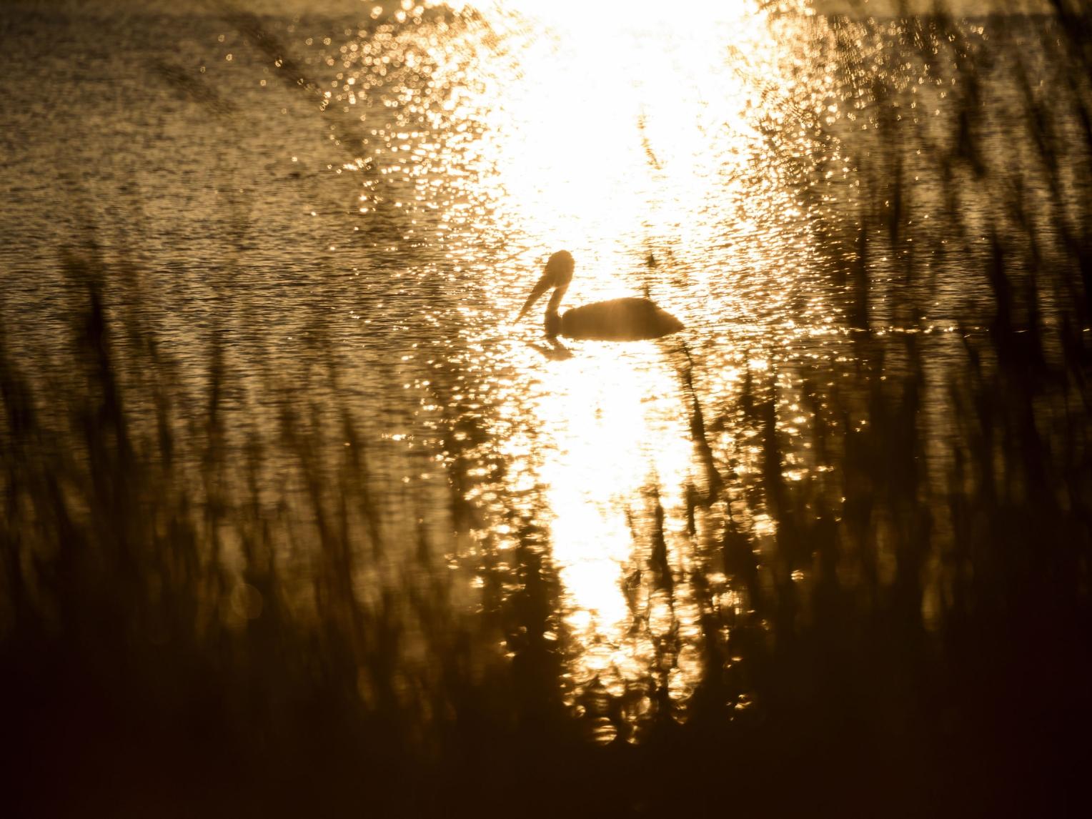 Escape to Oakwood Lakes: Where South Dakota's Beauty Unfolds