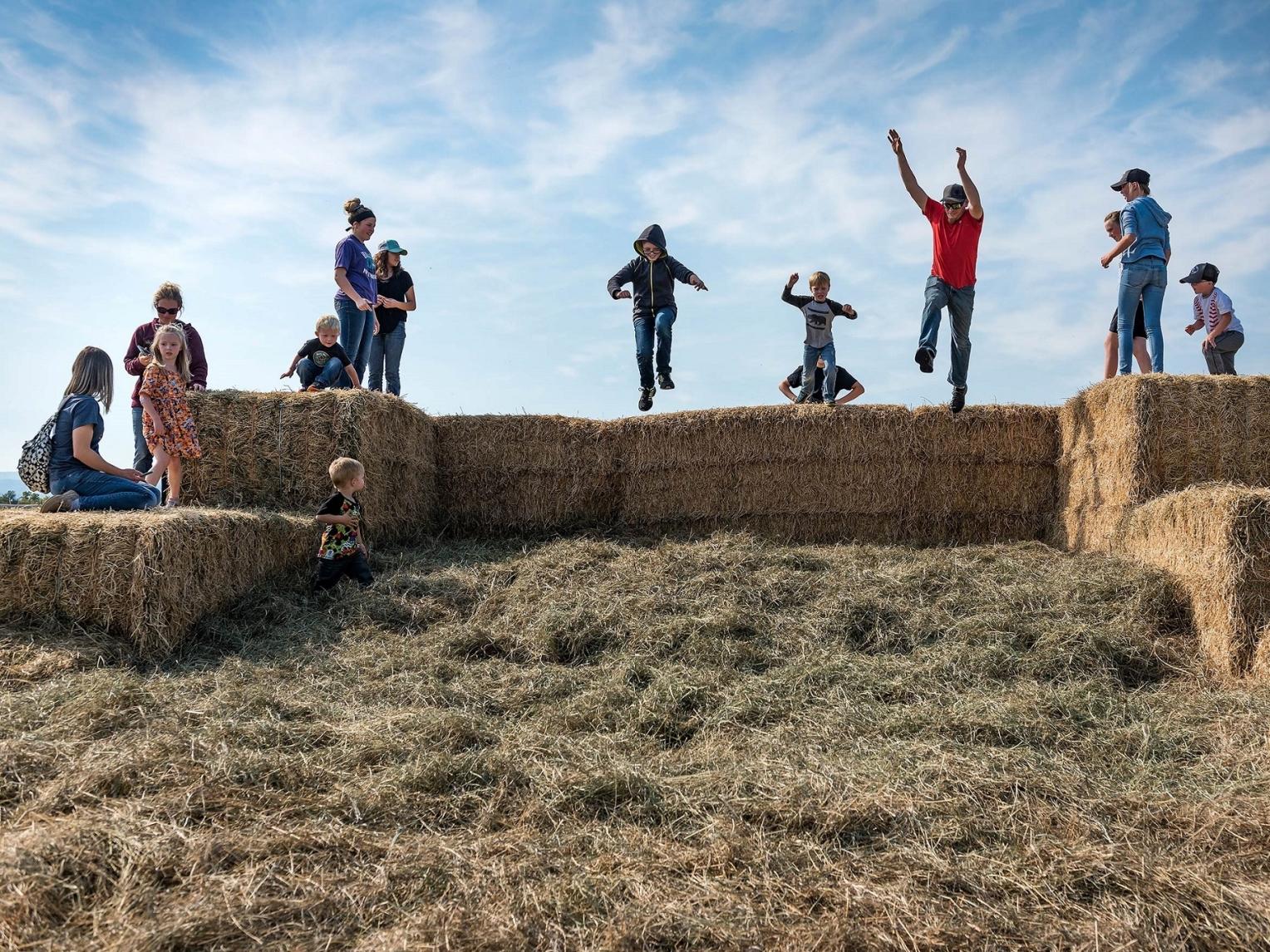 Spearfish Corn Maze