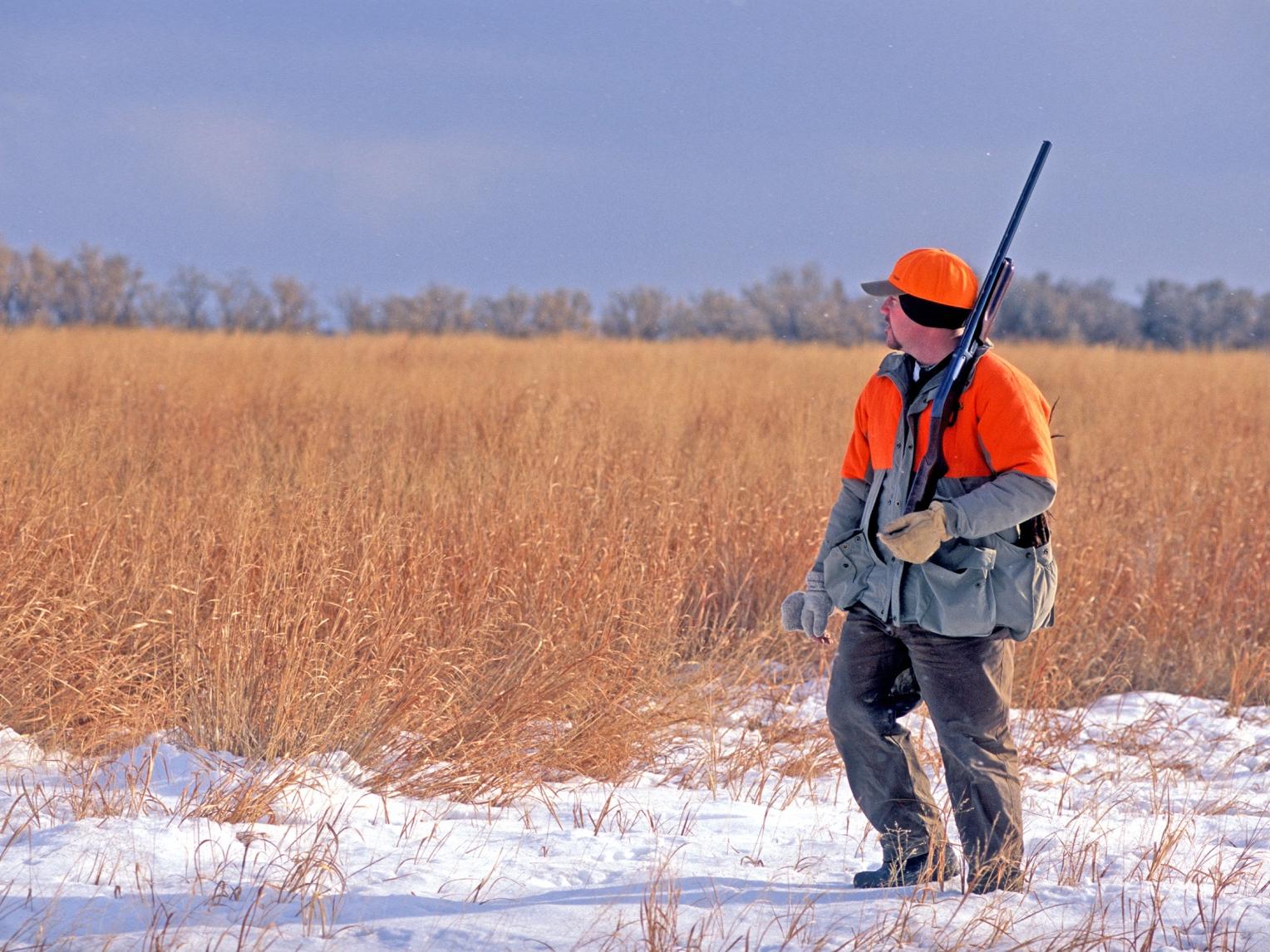 Hunter in the Field