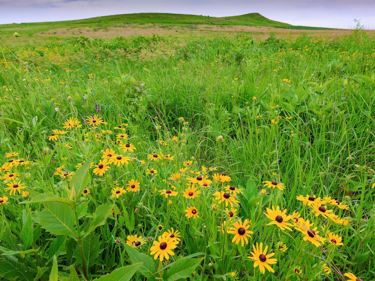 Spirit Mound, near Vermillion