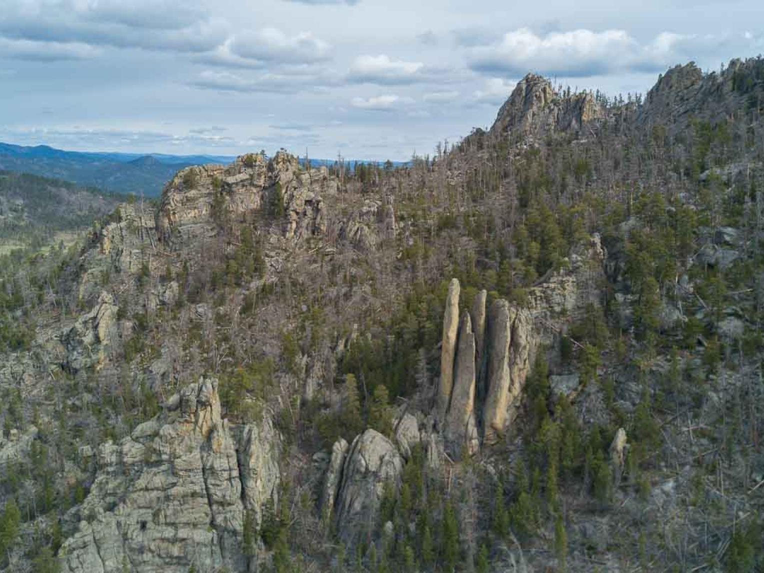 Black Hills