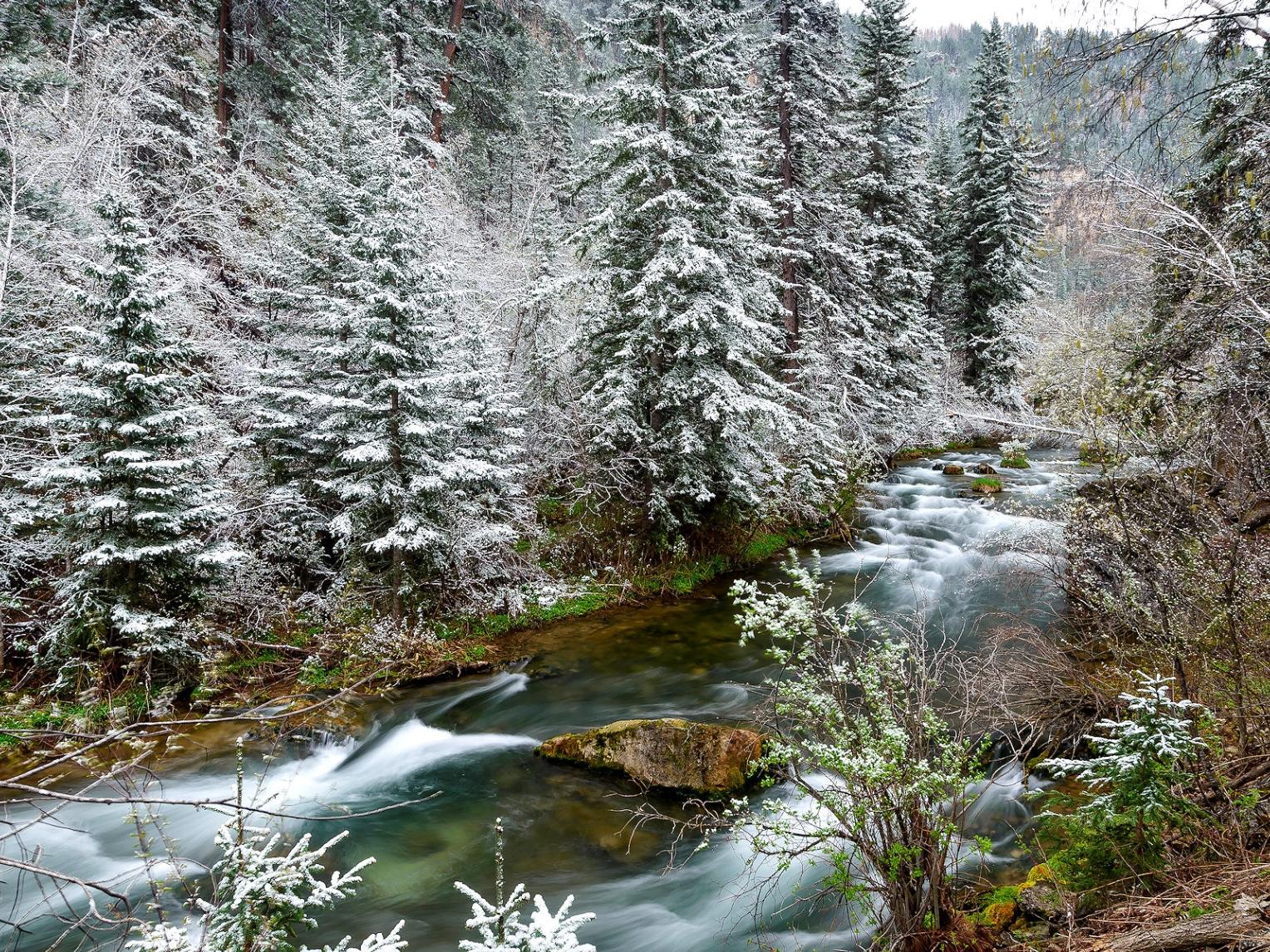 Spearfish Canyon, near Spearfish
