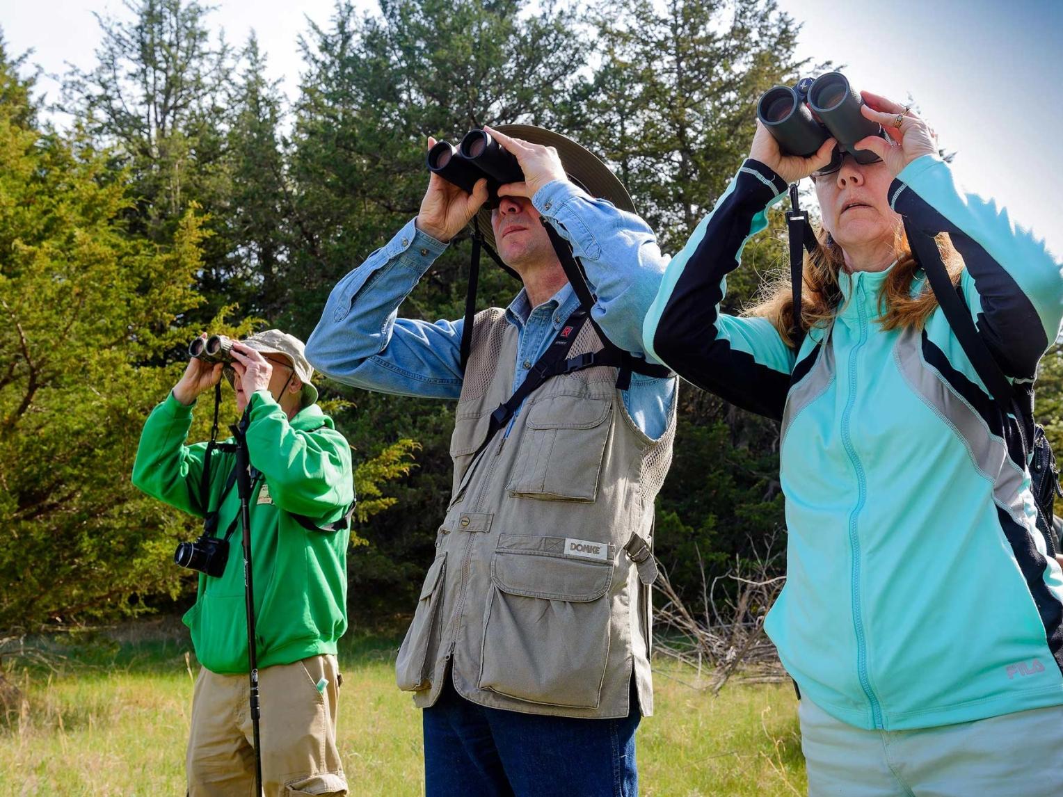 Three people Bird Watching