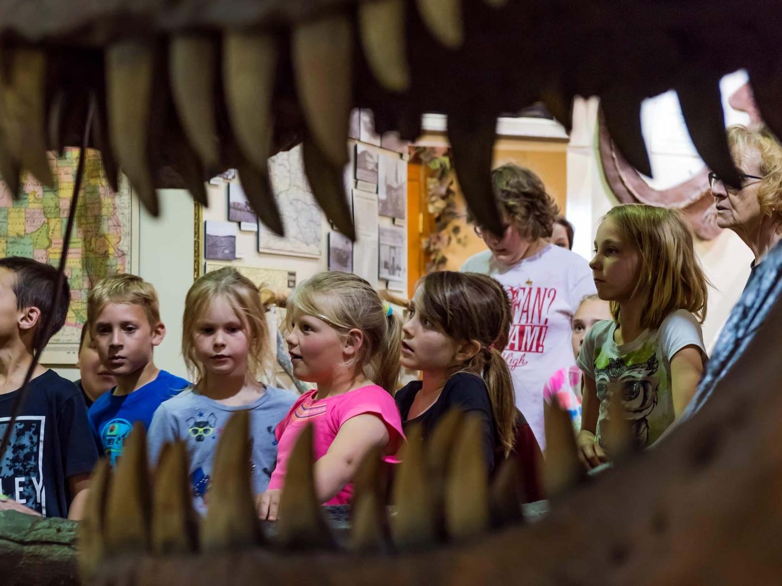 Black Hills Institute geology