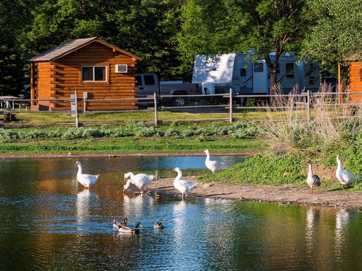 Wylie Park Campground, Aberdeen