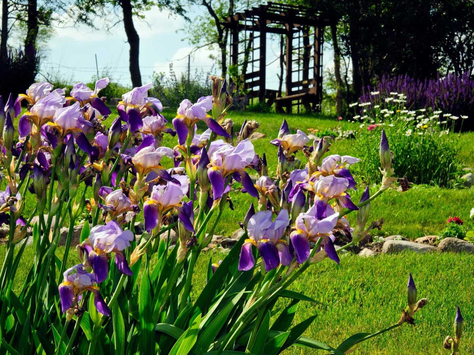 Shakespeare Garden