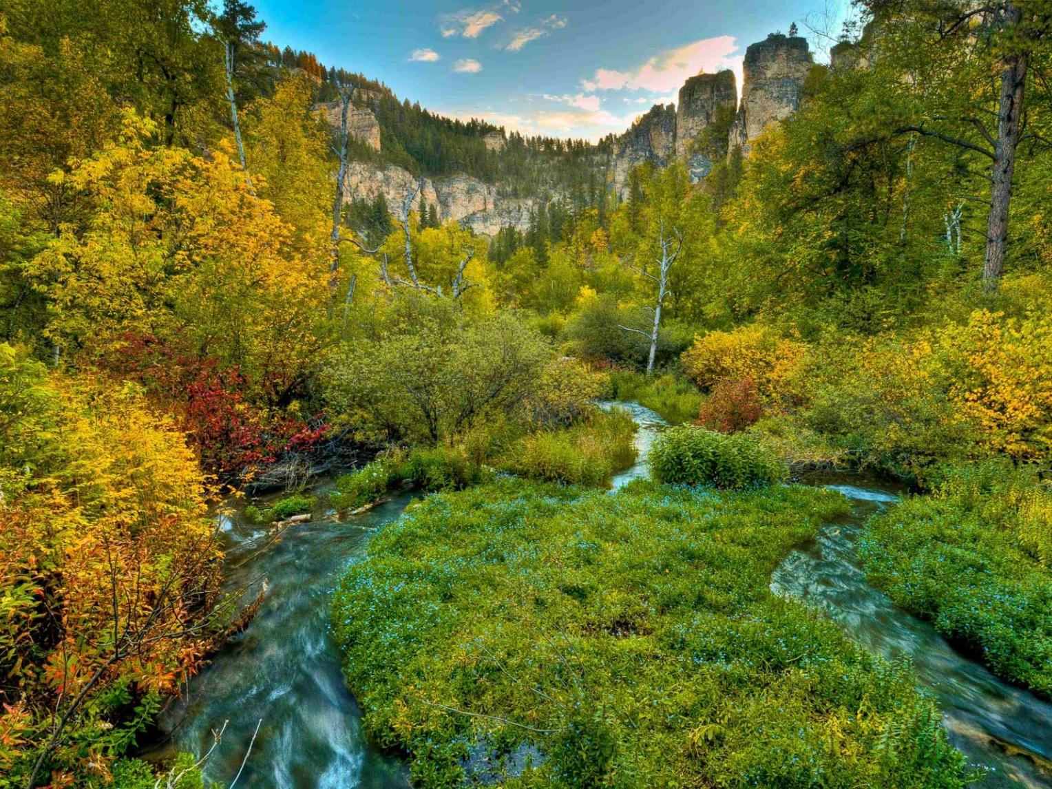 The Amazing Autumn Leaf Colors of Spearfish Canyon A Photo Essay