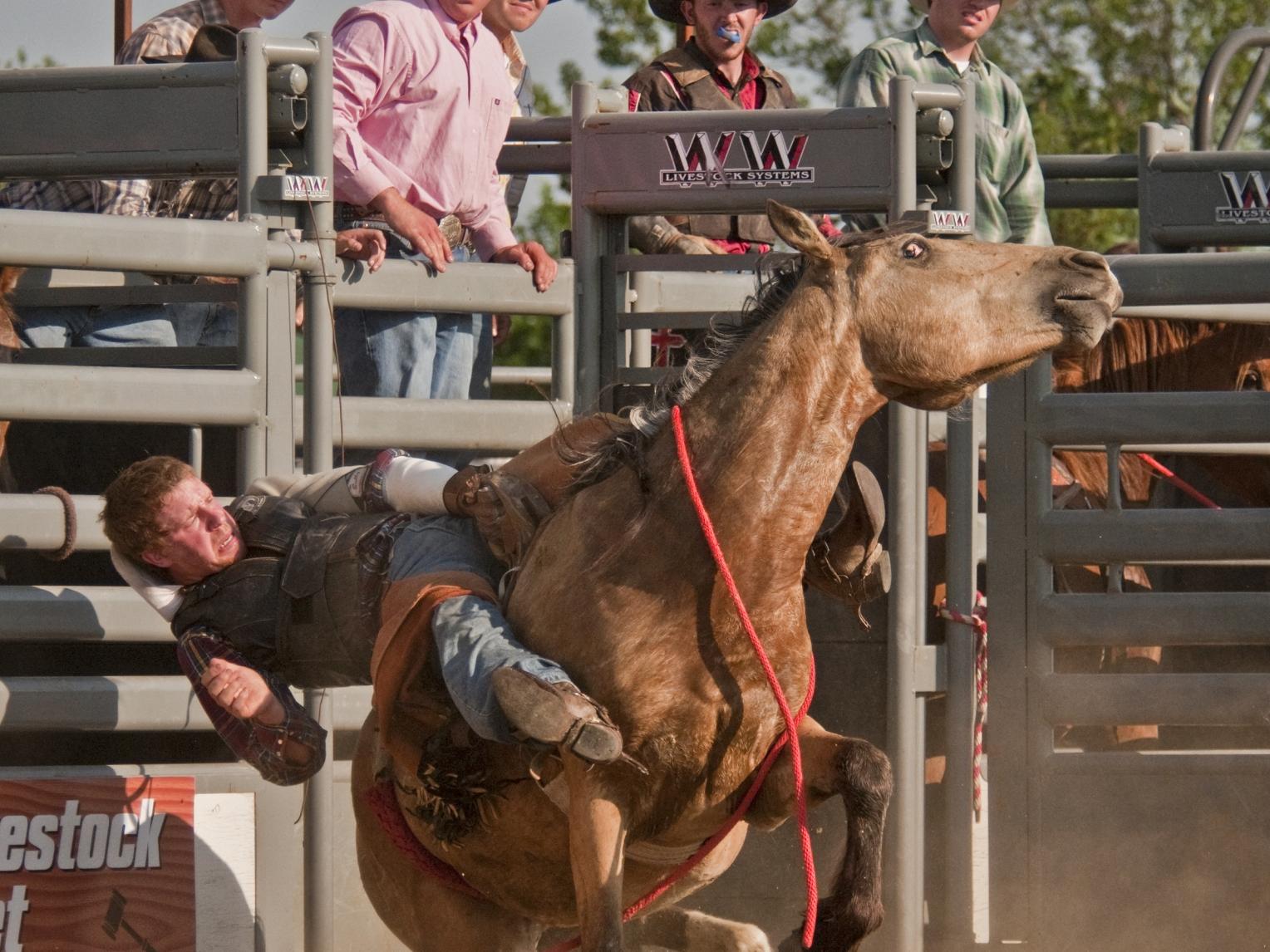 Rodeo