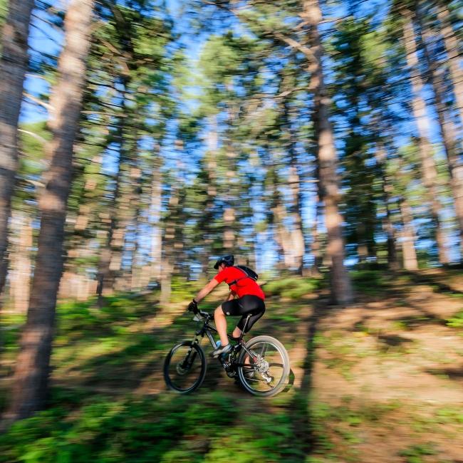 Mountain Biking Black Hills