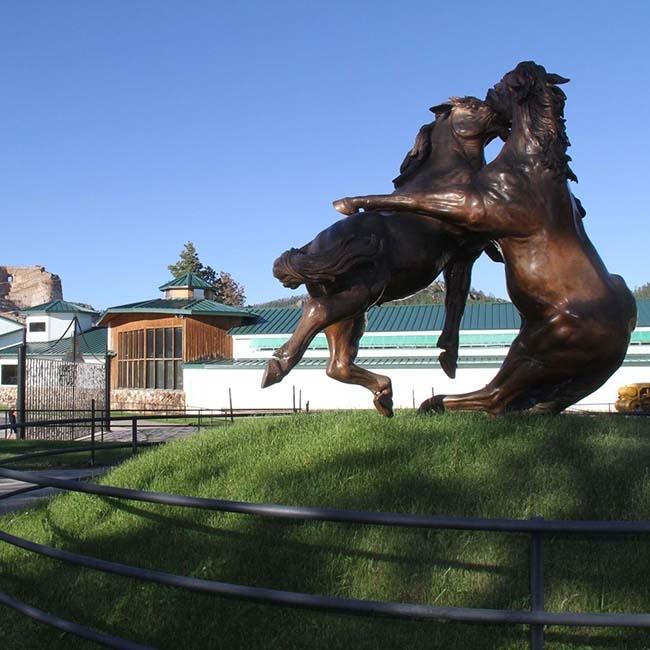 Fighting Stallions