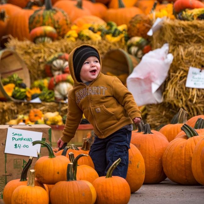 Kid in Awe from the Vast amount of Pumpkins