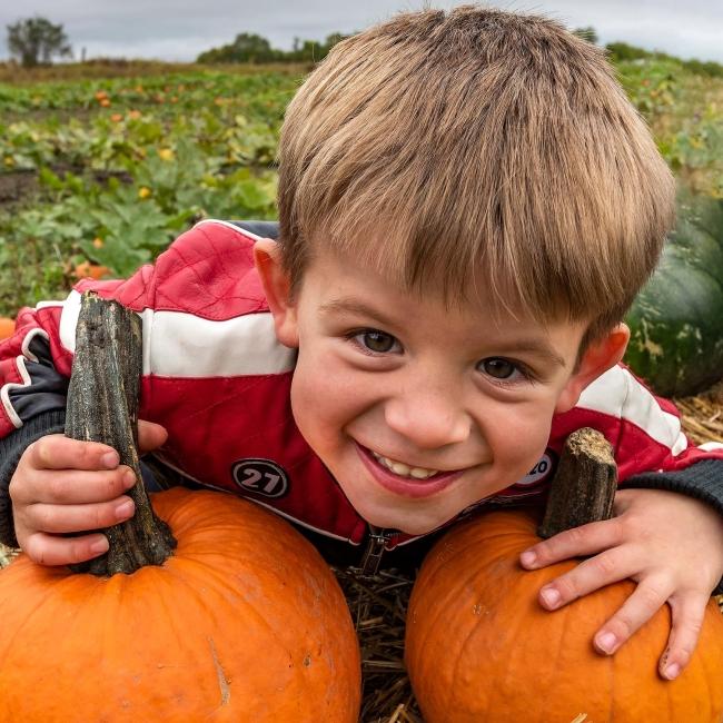 Hobo Marlins Pumpkin Train Kid