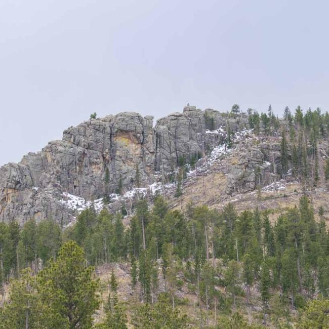 Black Hills