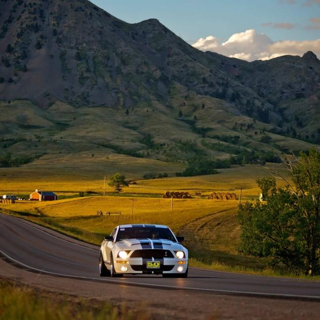 Mustang Rally