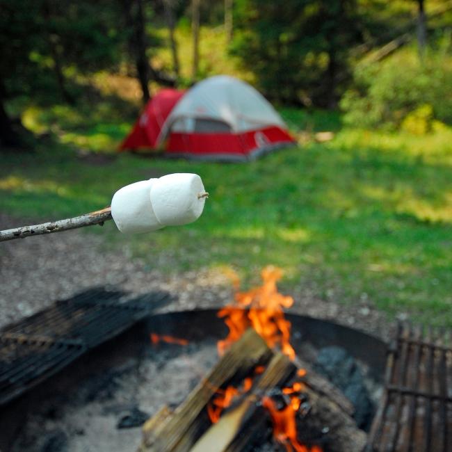 Marshmallow over campfire with tent