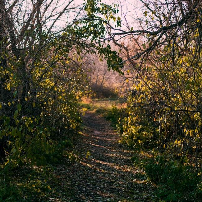 Beaver Creek trail