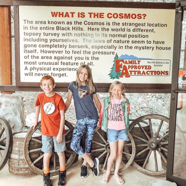 Cosmos Mystery Area, @thebravemomblog