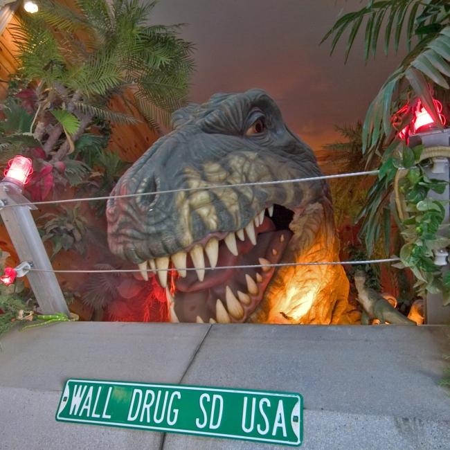 The head of an animatronic T.rex peeks over a wall and some wire at Wall Drug
