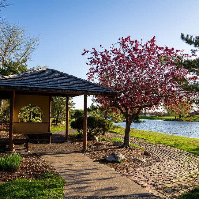 A pagoda sits lakeside at the Sioux Falls Japanese Gardens, surrounded by blossoming trees on a sunny day.