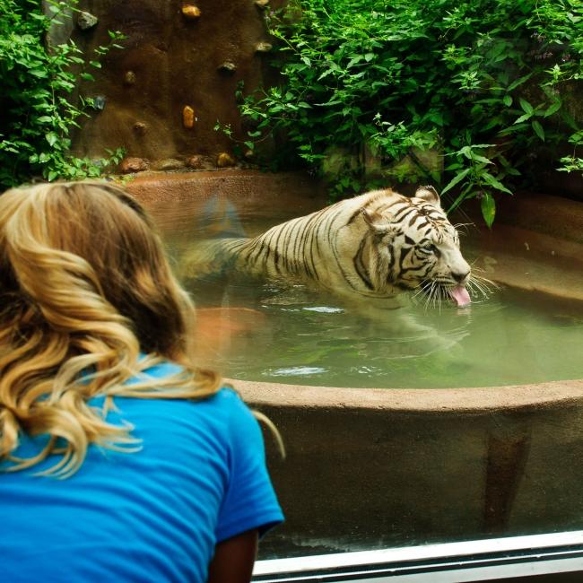 Bramble Park Zoo