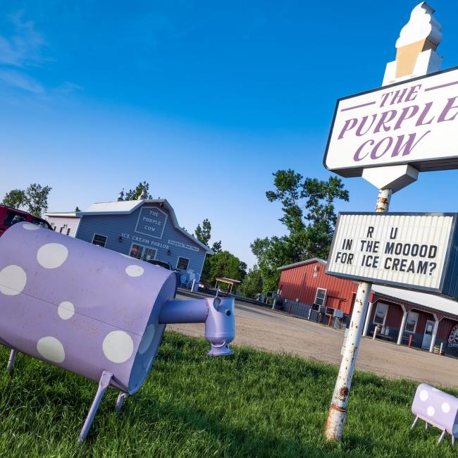 Purple Cow Ice Cream