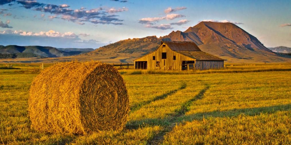 Bear Butte Barn Sturgis