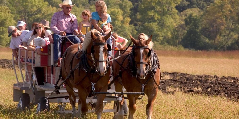 Beaver Creek Rec Area Horse Ride
