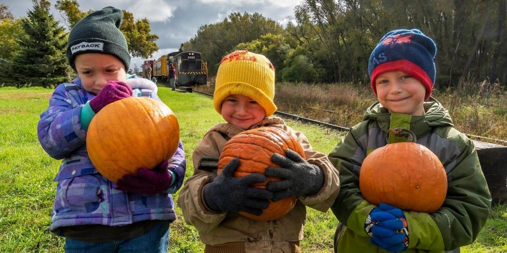 Hobo Marlins Pumpkin Train Kids