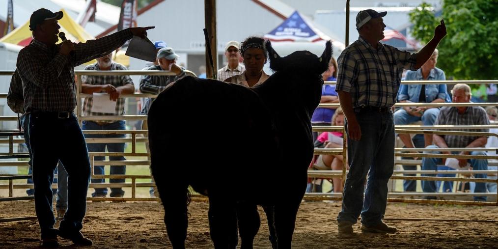 South Dakota Fairs Travel South Dakota