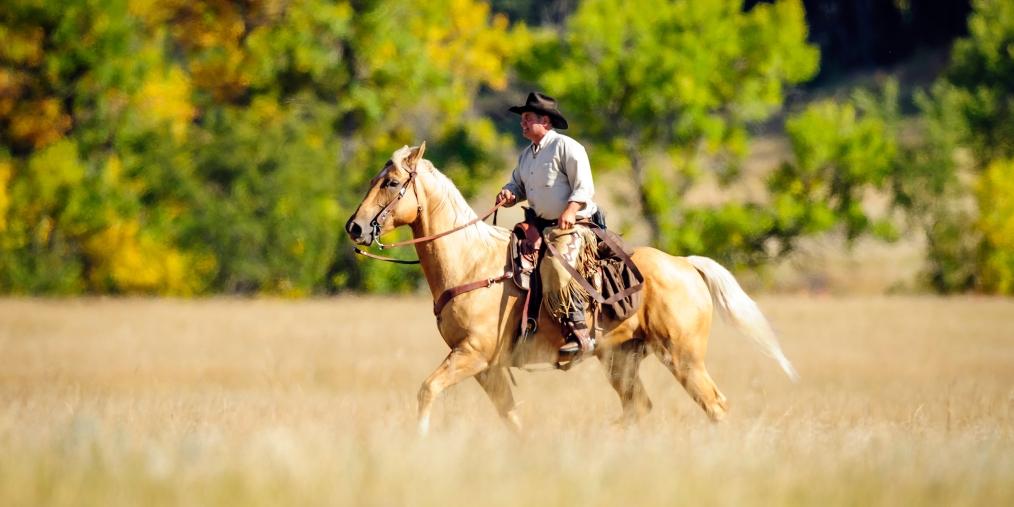 Celebrate SoDak Nature: A Centennial Trail Photo Essay