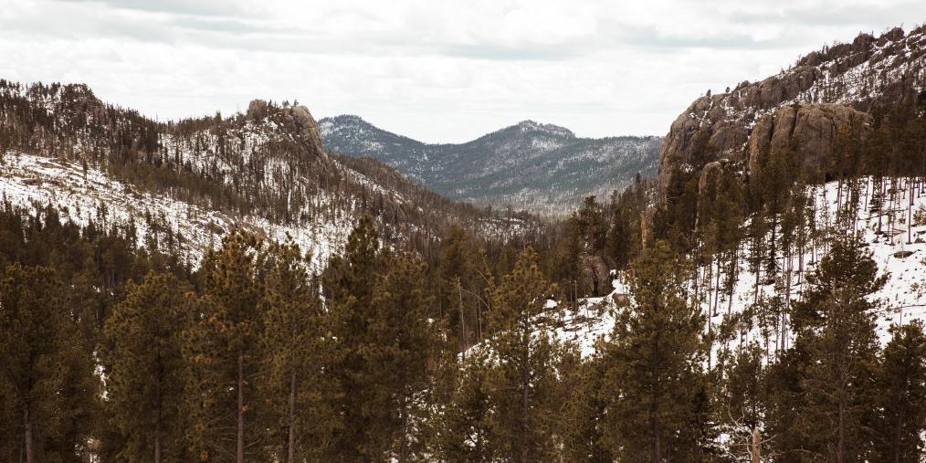 Black Hills, Jessica Olm