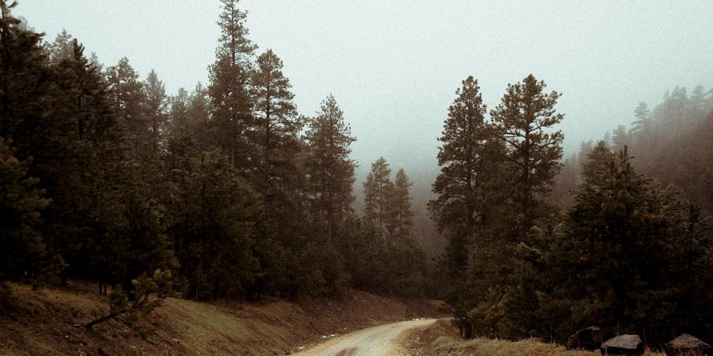 Black Hills, Jessica Olm