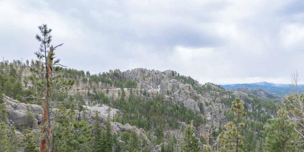 Black Hills