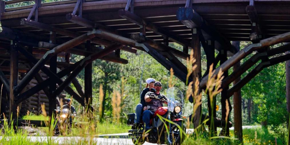 Motorcyclists driving on Iron Mountain Road