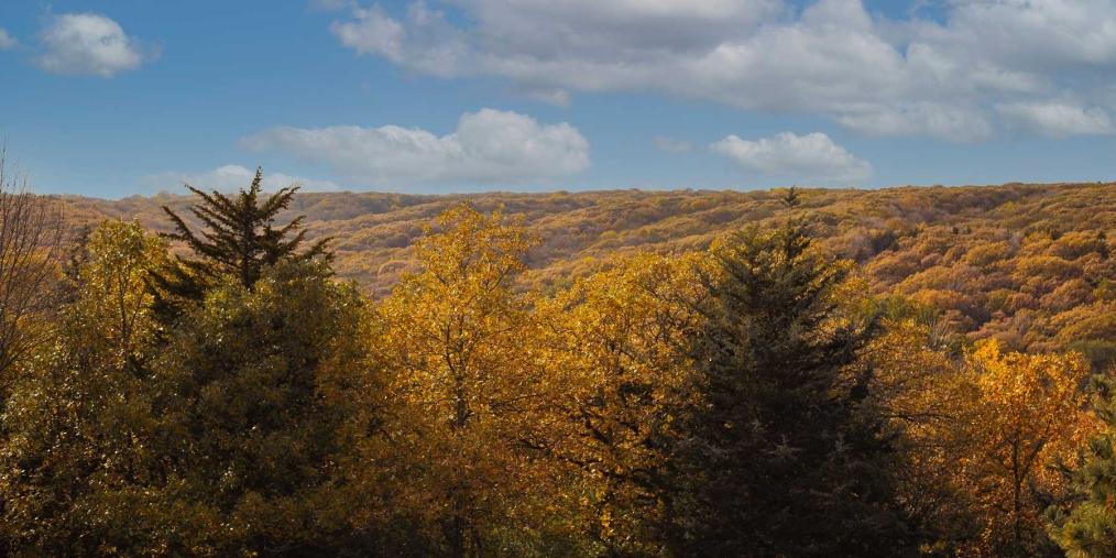 Newton Hills view from above in fall