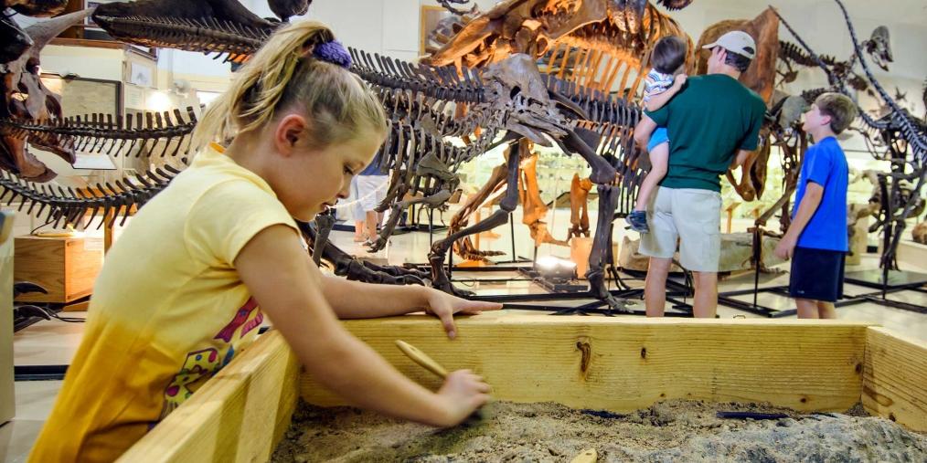 Everything Prehistoric