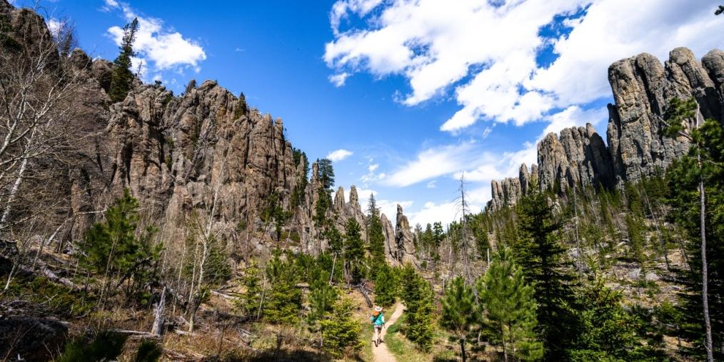 Custer State Park