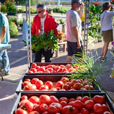 Farmers Market