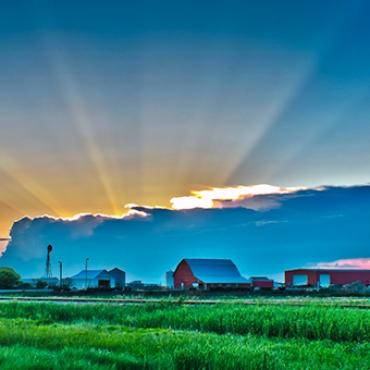 Farm Acreage