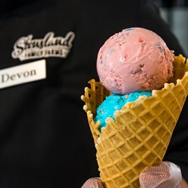 Local Dairy Products