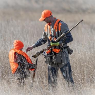 Youth Season