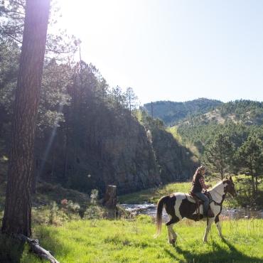 Horseback riding