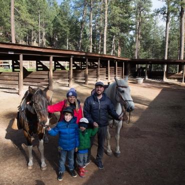 Blue Bell Stables