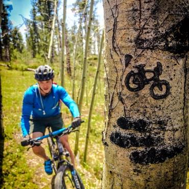 Mountain biking