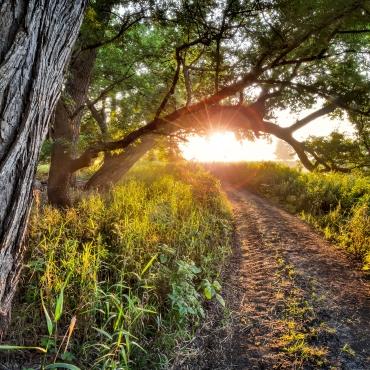 Good Earth State Park
