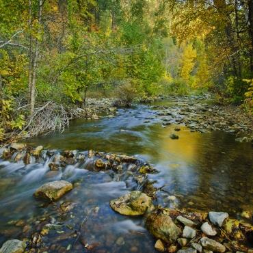 Spearfish Canyon creek